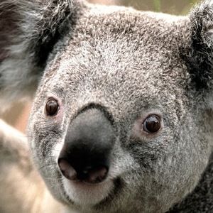 Meet your Posher, Tori